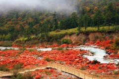 海螺壹號-木格措、瀘定橋、紅石公園、磨西古鎮3日游